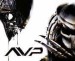 Alien VS Predator.jpg